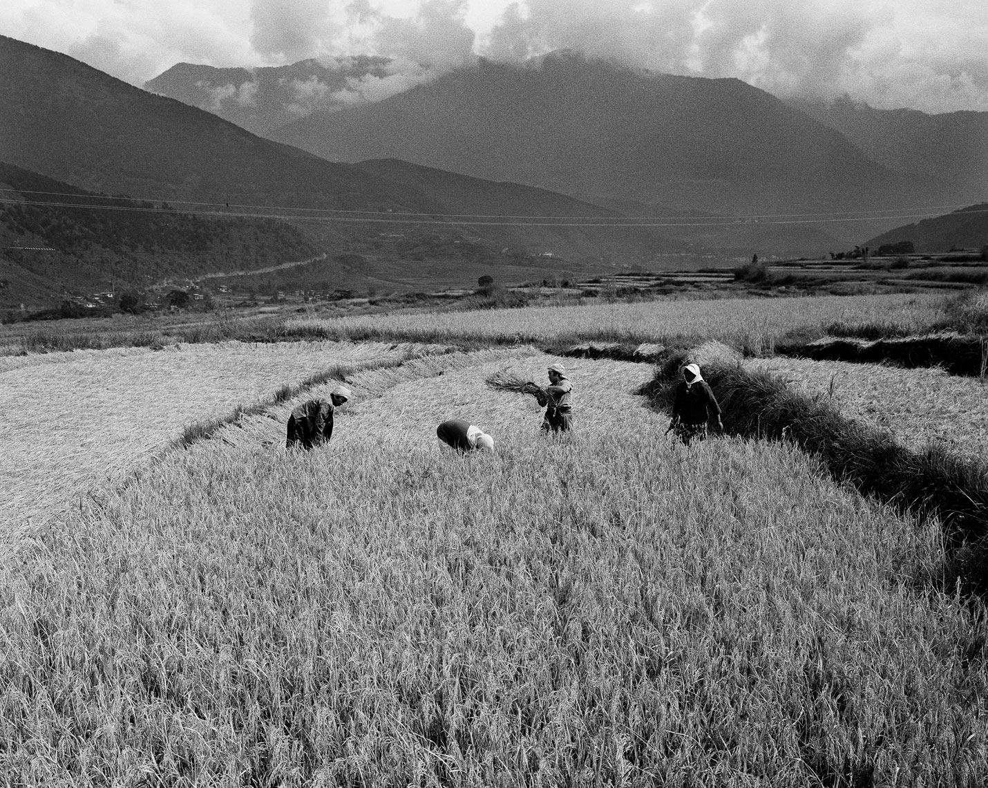 field-workers-print