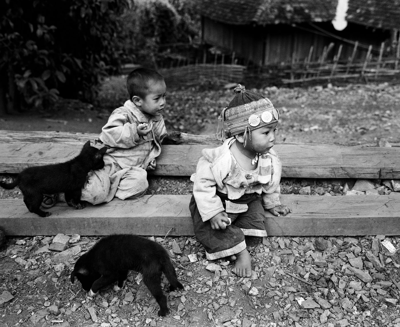 infants-on-wood-with-dogs-print.jpg